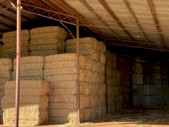 200mt Wheaten Straw Tailings 8x4x3 Bales