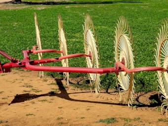 Sitrex hay rake 5 wheel
