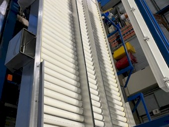 Fruit Infeed System
