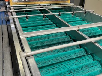 Fruit Infeed System