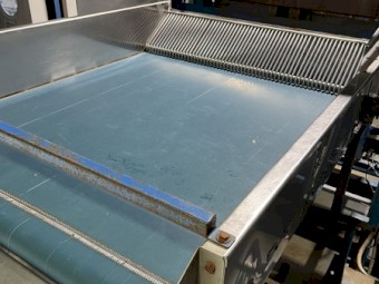 Fruit Infeed System