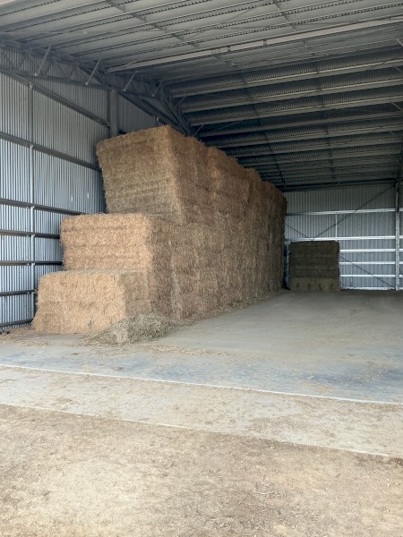 80mt Lucerne Hay 8x4x2 Large Square bales