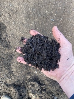  Organic screened FOGO compost/ soil conditioner
