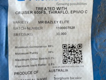 MR Bazley Elite Seed for Sale