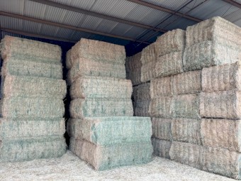 30mt Lucerne Hay 700kg 8x4x3 Bales