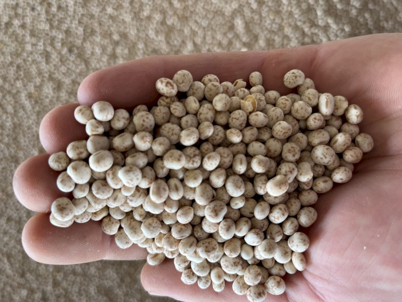 12.8t Bateman lupins 