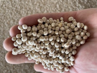 12.8t Bateman lupins 