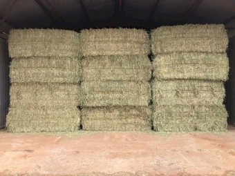 2025 Oaten hay