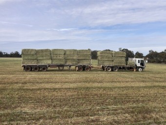 2025 Oaten hay