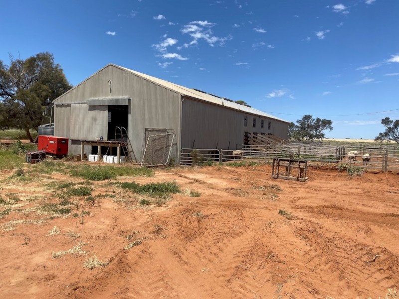 Cropping and Sheep Sale or/and Lease, 2 titles, Mildura area (Available Now)