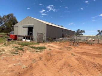 Cropping and Sheep Sale or/and Lease, 2 titles, Mildura area (Available Now)