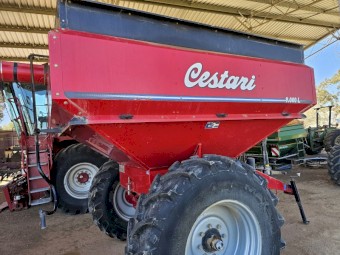 Cestari Chaser Bin