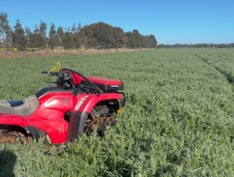 200mt Vetch Hay 8x4x3 Bales