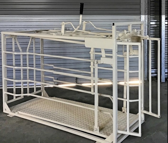 Advanced farm systems sheep pregnancy scanning crate