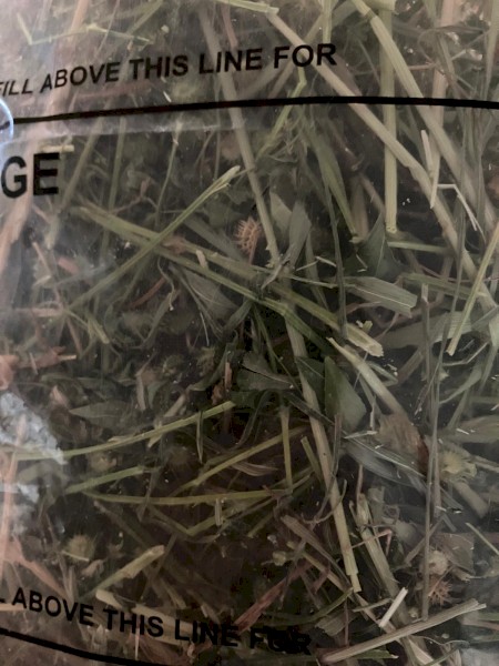 1000mt Clover Rye Hay 650kg 8x4x3 Bales