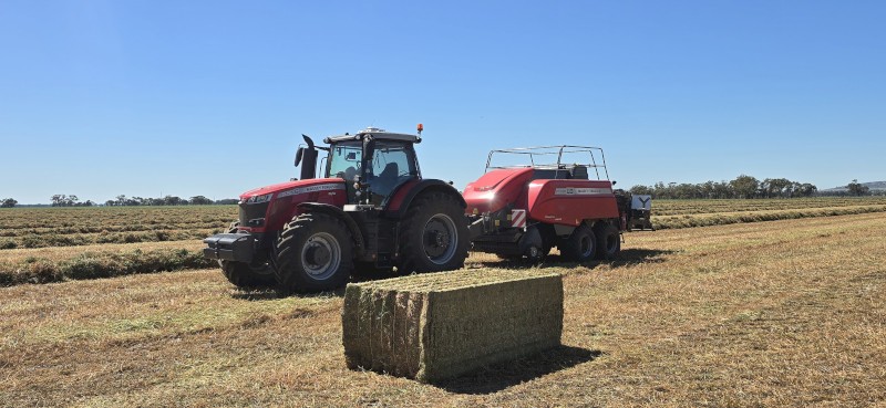 WANTED Standing Hay
