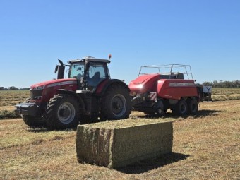 WANTED Standing Hay