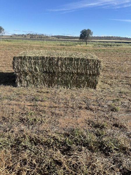 300mt Vetch Hay 8x4x3 Bales