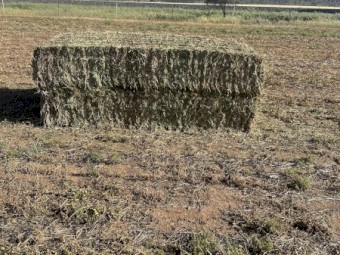 300mt Vetch Hay 8x4x3 Bales