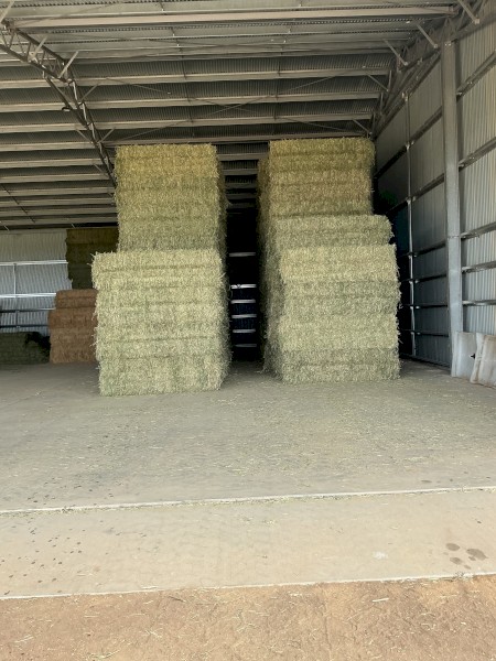 75mt Wheaten Hay 8x4x2 Bales