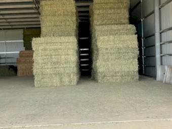 75mt Wheaten Hay 8x4x2 Bales