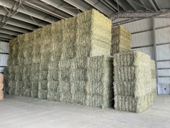 75mt Wheaten Hay 8x4x2 Bales