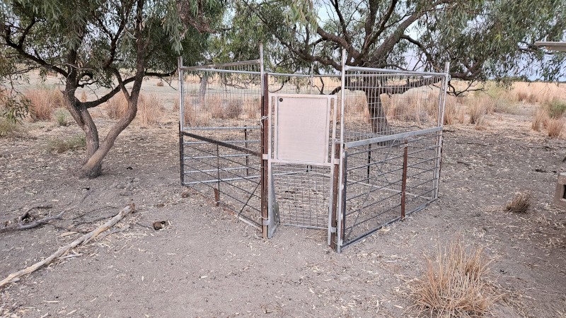One way door pig traps