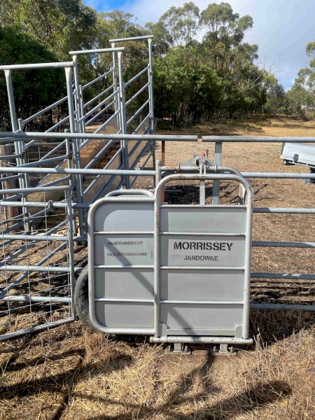 Morrissey Calf Marking and Branding Cradle