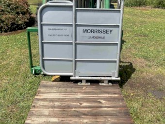 Morrissey Calf Marking and Branding Cradle