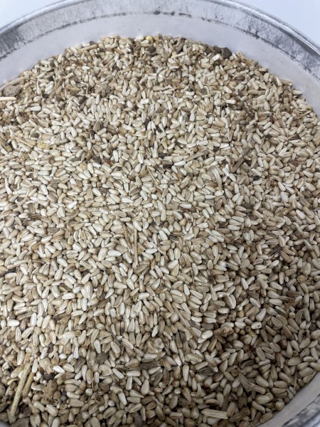 100mt Safflower
