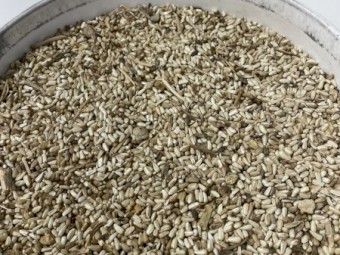 100mt Safflower