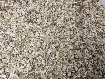 100mt Safflower