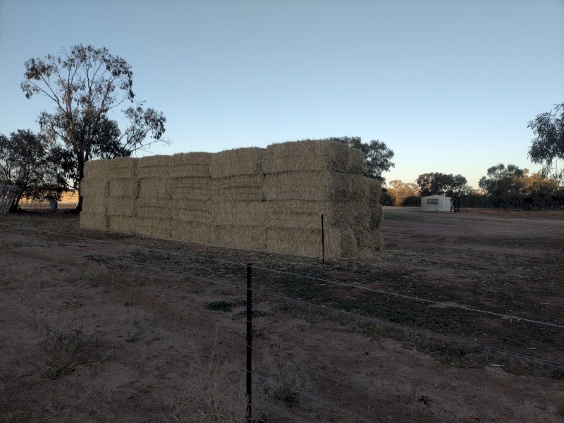 72 x Oaten Hay 8x4x3 Bales