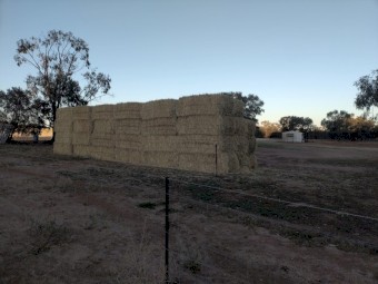 72 x Oaten Hay 8x4x3 Bales
