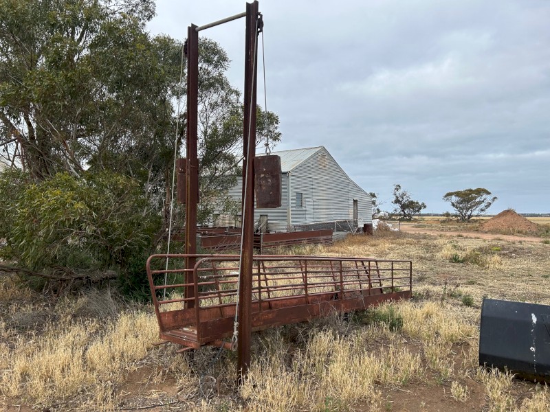 Sheep Loading Ramp