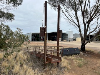 Sheep Loading Ramp
