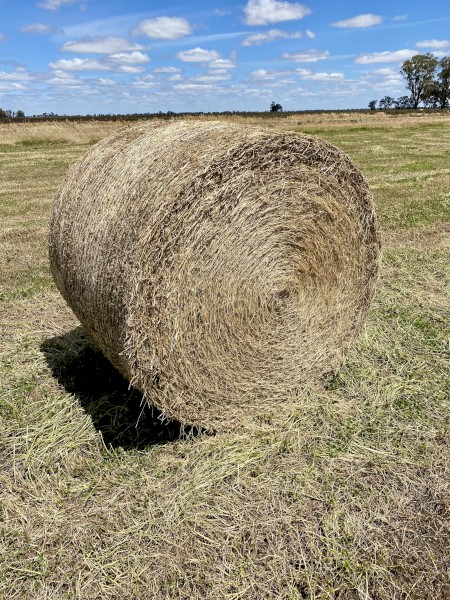 Clover Rye 5x4 Round Bales