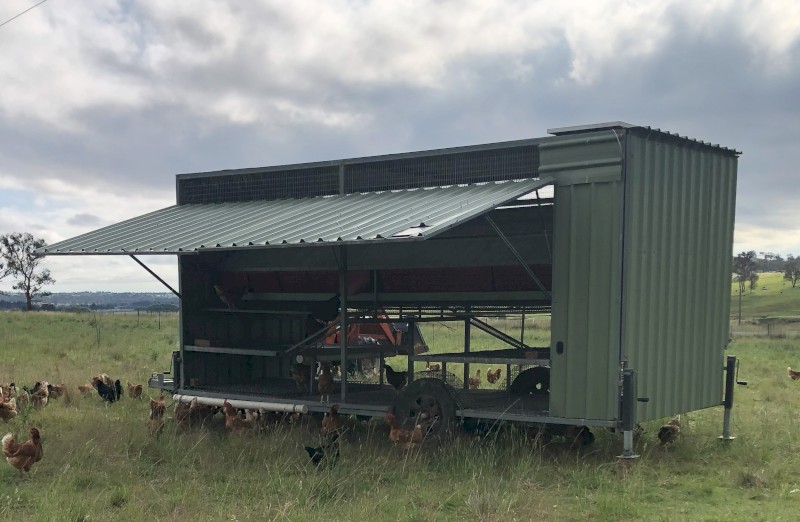 Chicken Caravan for Sale – Holds up to 450 Hens