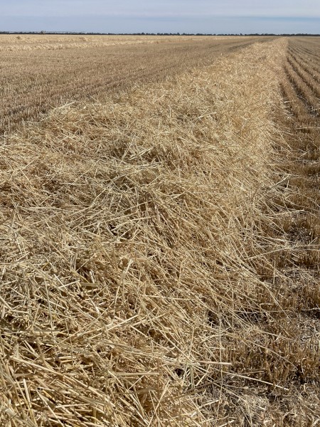 400mt Barley Straw 8x4x3 Bales