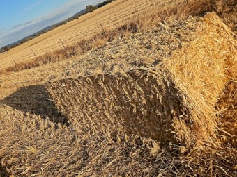 27mt Oaten Hay 540kg 8x4x3 Bales