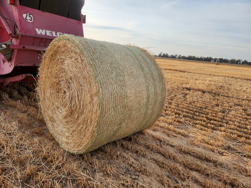 500 x Barley Straw Round Bales