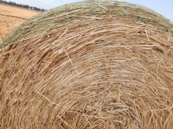 500 x Barley Straw Round Bales