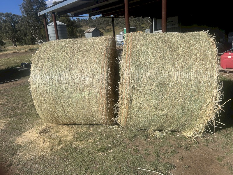 Oaten Hay with Vetch Hay 5x4 Rolls