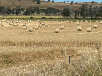 Oaten Hay with Vetch Hay 5x4 Rolls