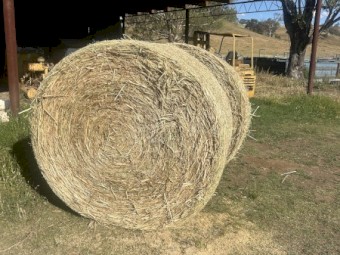 Oaten Hay with Vetch Hay 5x4 Rolls