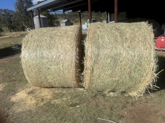 Oaten Hay with Vetch Hay 5x4 Rolls