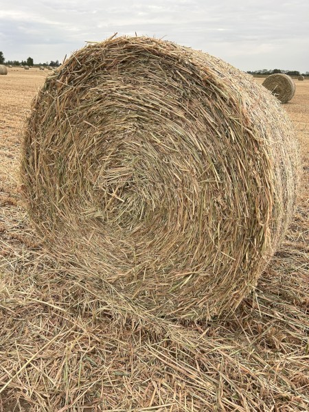 150 x Oaten Hay 5x4 Round Bales