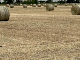 150 x Oaten Hay 5x4 Round Bales