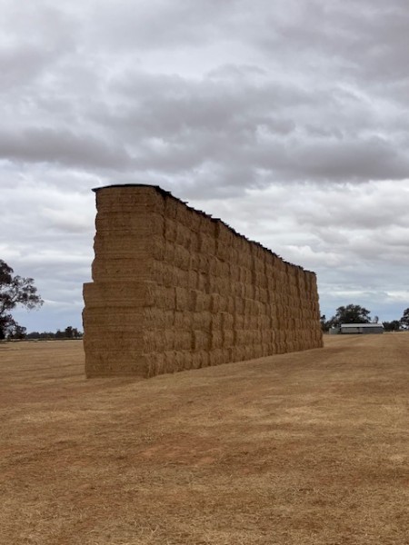 500mt Vetch Hay 650kg 8x4x3 Bales