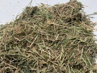 500mt Vetch Hay 650kg 8x4x3 Bales